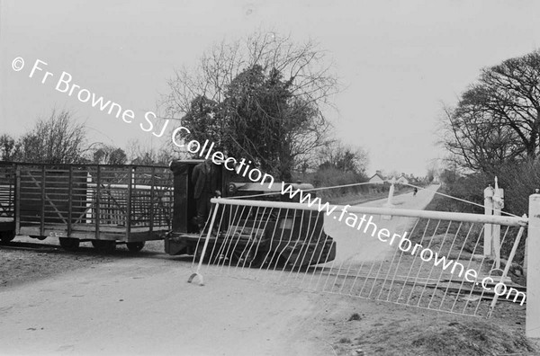 LOADING TURF TRAIN NEAR PORTARLINGTON GROUP OF WORKERS